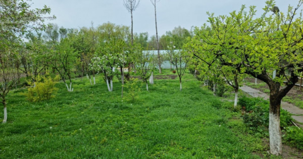 TEREN INTRAVILAN PREMIUM, ZONA 9 MAI, SUPRAFATA 1751 MP, IES