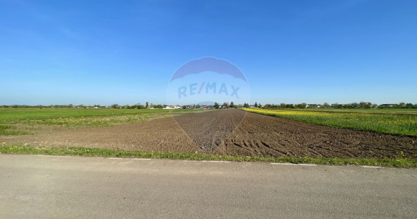 Teren Intravilan 6.220 mp | Strejnicu, Strada Livezilor