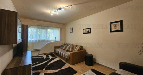 Apartament 2 camere spatios si bine pozitionat, soseaua Mang