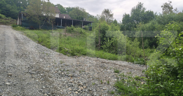 Teren intravilan de v&acirc;nzare - 813 mp &ndash; Valea Jelnei