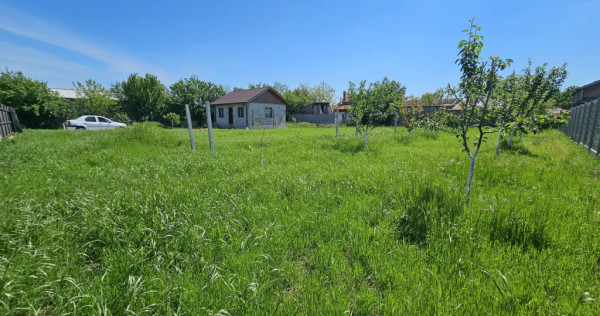 DUMBRAVA - 1219 mp Teren ideal casă &ndash; asfalt, utilități