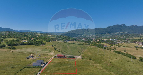 Teren Tohanu Nou, intrare Sohodol, 4800mp