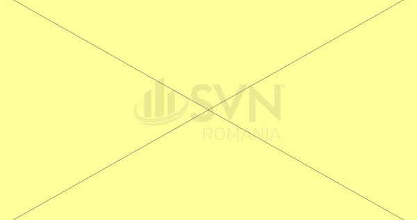 Vila 7 camere I curte I parcare I Floreasca spatiu birouri