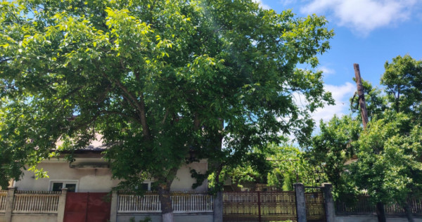 Proprietate 70 mp, 2023 mp teren, comuna Leu