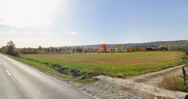 Teren intravilan 13060 mp | Deschidere 64 m la DN72A Voinest