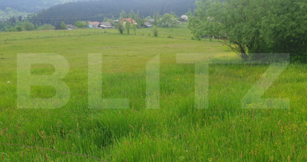 Teren intravilan, 9964 mp, zona Vatra Dornei