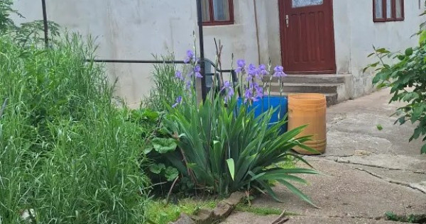 VAND casa in Giurgiu