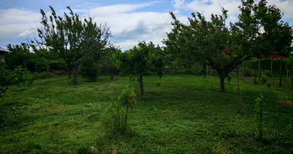 Teren Siminoc 800m2