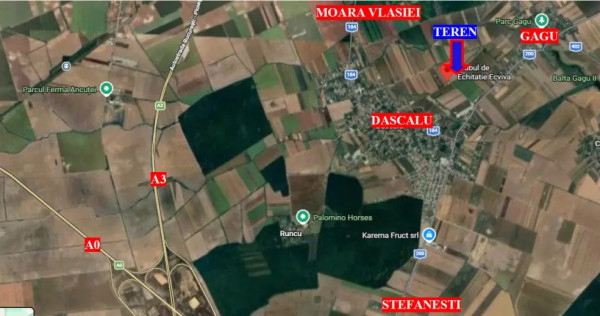 Teren Dascalu, 10.000 mp
