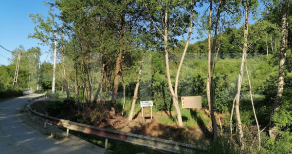 Livada + padure + teren extravilan, 14.400 mp, zona Gemenea-