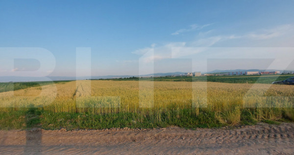 Teren arabil 9.000 mp &icirc;n Moacșa &ndash; investiție &icirc;ntr-o zo