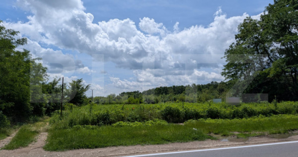 Teren extravilan, 12700 mp, oportunitate de investitie, zona