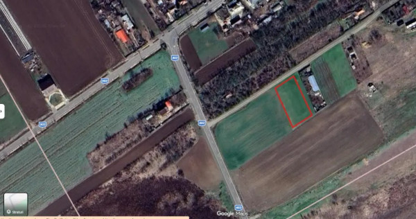 Vand teren Mariuta Belciugatele 1000mp Intravilan Direct Proprietar
