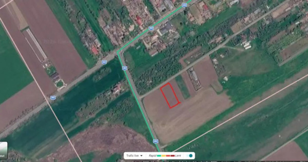 Vand teren Mariuta Belciugatele 1000mp Intravilan Direct Proprietar