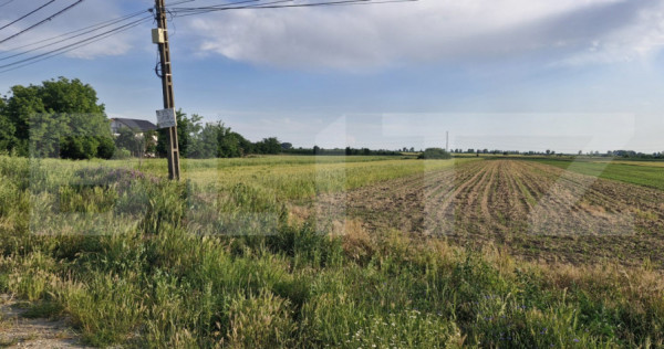 Teren 10.000 mp, potrivit investiție comercial, DN7 Găeșt