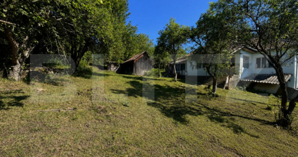 Casa cu teren extins, 101 mp, Bistrita