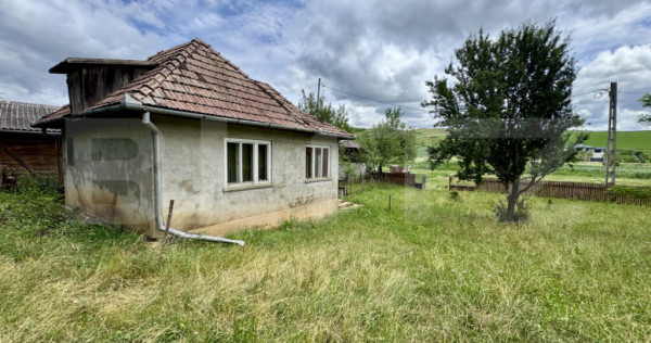 Casa 50 mp utili, 5000 mp teren, sat Draculea Bandului