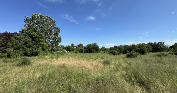 Teren 2936 mp Ordoreanu Ilfov | Langa Padure | Utilitati