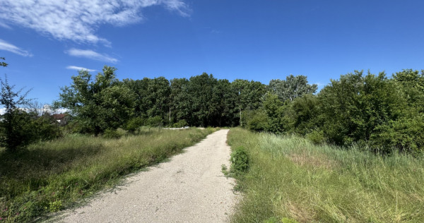 Teren 2761mp Ordoreanu Ilfov | Langa Padure | Utilitati