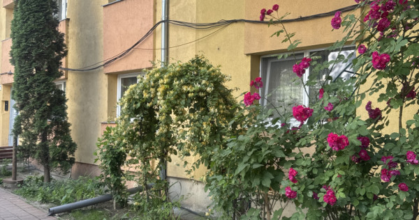 Apartament 3 camere George enescu