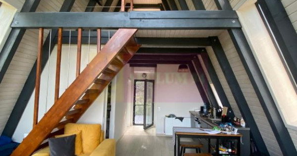 Cabane A frame + Teren 6000 mp | Proprietate deosebita, NOU