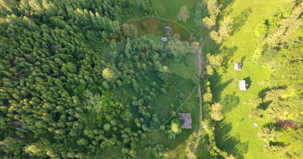 Teren 38,704mp Sirnea | 2.000 mp Intravilan | 36,704 Extr...