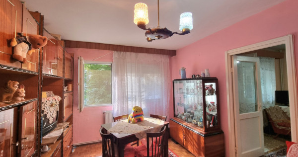 Ultracentral- Apartament 2 camere la etajul 1, cu parc l&acirc;ng