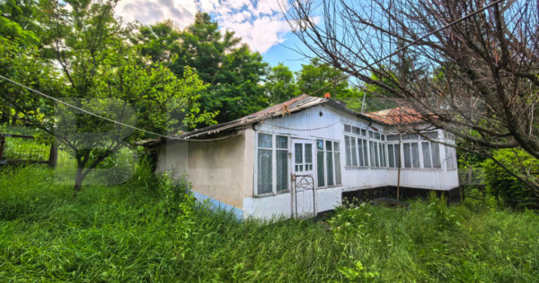 Casă bătr&acirc;nească cu bucătărie de vară, 100 mp, teren