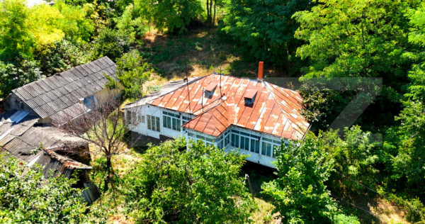 Casă bătr&acirc;nească cu bucătărie de vară, 100 mp, teren