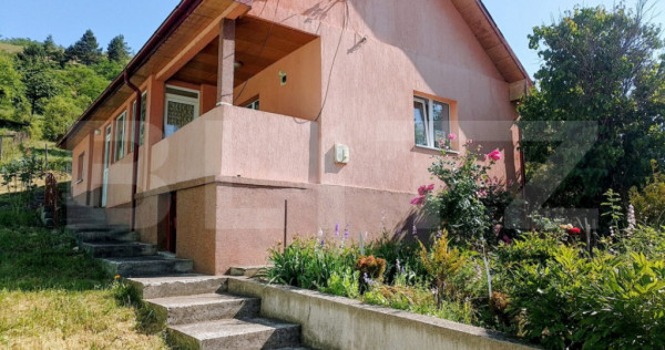 Casă individuală solidă și armonioasă, 55 mp, teren 830