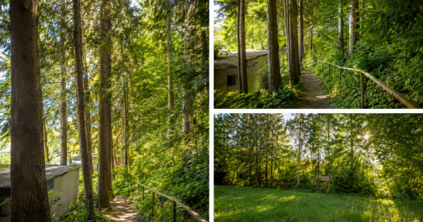 Vilă &icirc;ntr-o oază de natură din centrul Brașovului |180 mp |Teren 360mp