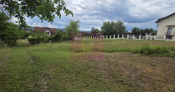 Teren de vanzare in Campina, Muscel