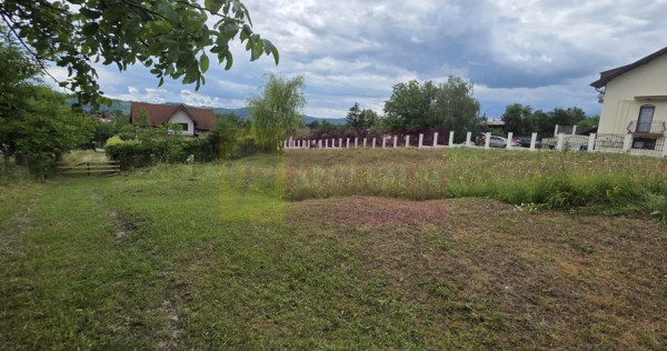 Teren de vanzare in Campina, Muscel