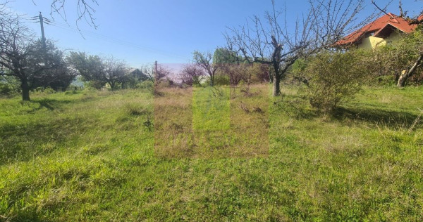 Teren de vanzare in Campina