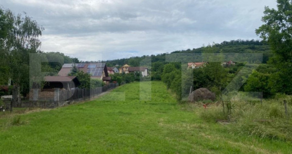 Teren intravilan, 2600 mp, Bardesti