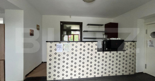 Spatiu Comercial de Inchiriat / Salva - cu terasa si curte i