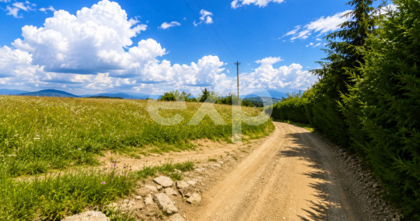 8.544 mp &icirc;n Poiana Mărului | Teren cu potențial, la doar