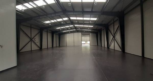 Hale de 500mp si 600mp in zona Progresul, Jilava