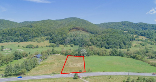 Teren de 4.000 mp cu deschidere la DN73A &ndash; Cheile Rasno...