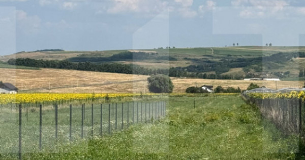 Teren intravilan, 700mp , Zona Zăicești- Botoșani