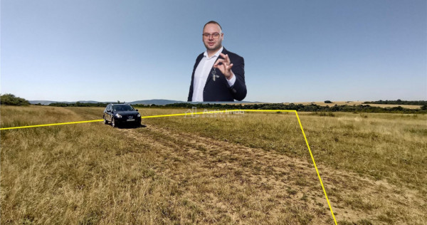 Nicolint, 2 Terenuri Extravilane, Arabil, 1.45 Hectare