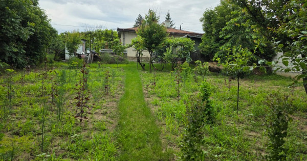 Casa caramida la strada Puskin