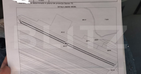 Teren extravilan de vanzare, 4800 mp, zona Vacareasca Teis