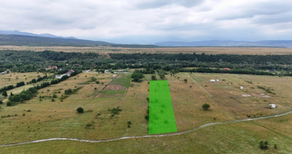 Teren intravilan 5000mp Valea Avrigului zona Panoramic Park