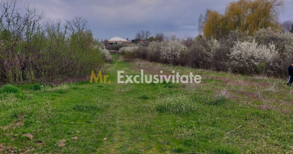 Teren Topoloveni - 3670 mp - langa padure, aproape de Cen...