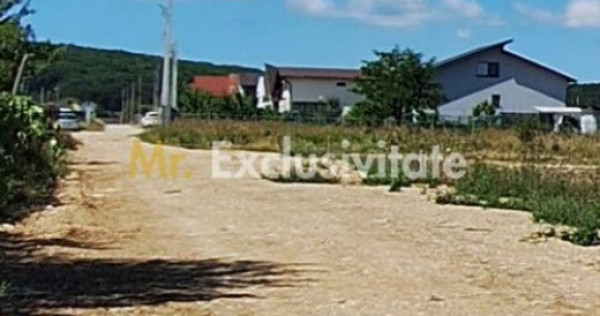 Teren 500 mp intravilan Smeura Stoenari - 4 loturi