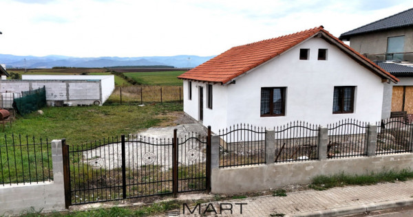 Casa 1 nivel 75mp Cartier Tineretului Sura Mica