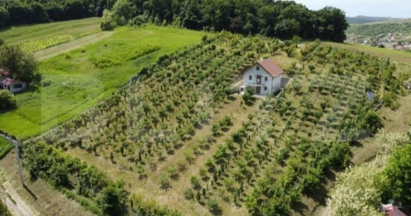 Casă și livadă de v&acirc;nzare, 150 mp, zona Grebenișu de C?