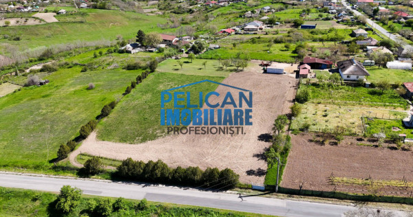 Teren intravilan SOMOVA, zonă deosebită, 5548MP