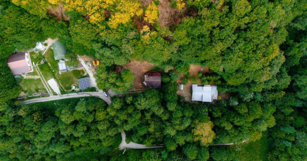 Casă de vacanță de v&acirc;nzare &icirc;n Drăganu, Spațiu verde și aer curat